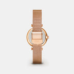Women Quartz Mother Of Pearl Dial Analog Mesh Watch DW0DL3300
