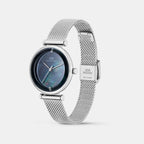 Women Quartz Black Dial Analog Mesh Watch DW0DL3302
