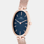 Women Quartz Blue Dial Analog Stainless Steel Watch DW0DL3000