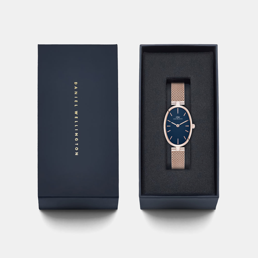 Women Quartz Blue Dial Analog Stainless Steel Watch DW0DL3000