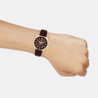 Edifice Men Quartz Brown Dial Chronograph Leather Watch ED662