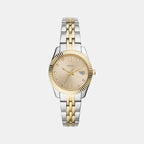Scarlette Mini Women Quartz Gold Dial Analog Stainless Steel Watch ES4949
