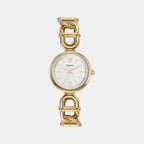 Carlie Women Quartz Silver Dial Analog Stainless Steel Watch ES5272