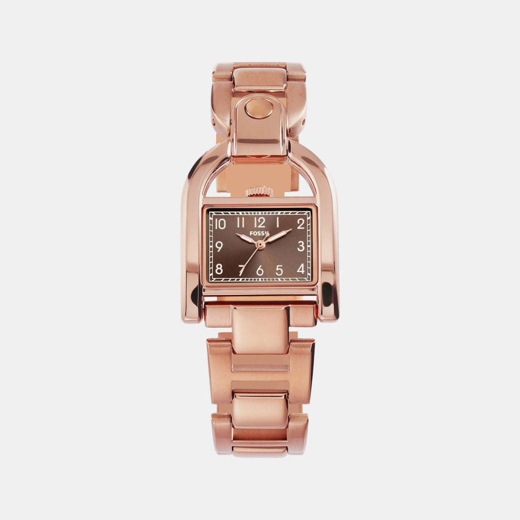 Harwell Women Quartz Brown Dial Analog Stainless Steel Watch ES5328