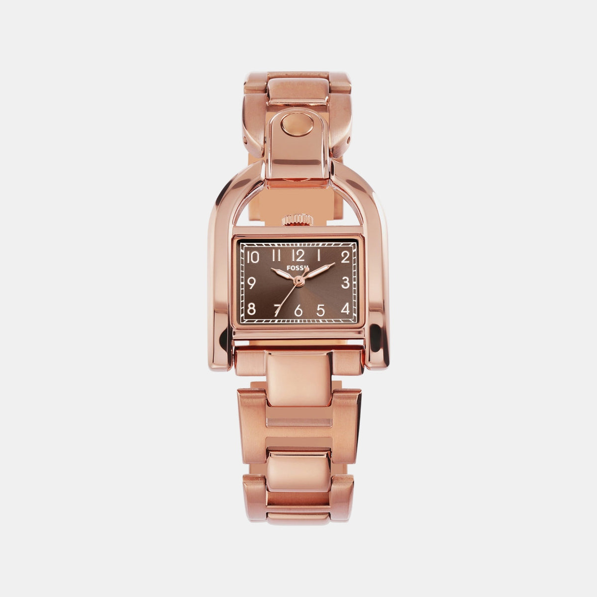 Harwell Women Quartz Brown Dial Analog Stainless Steel Watch ES5328