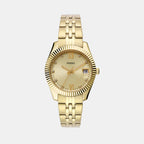 Fossil Round Gold Analog watch