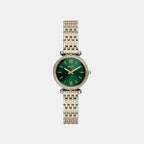 Carlie Women Quartz Green Dial Analog Stainless Steel Watch ES5439