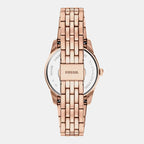 Scarlette Women Quartz Grey Dial Analog Stainless Steel Watch ES5459