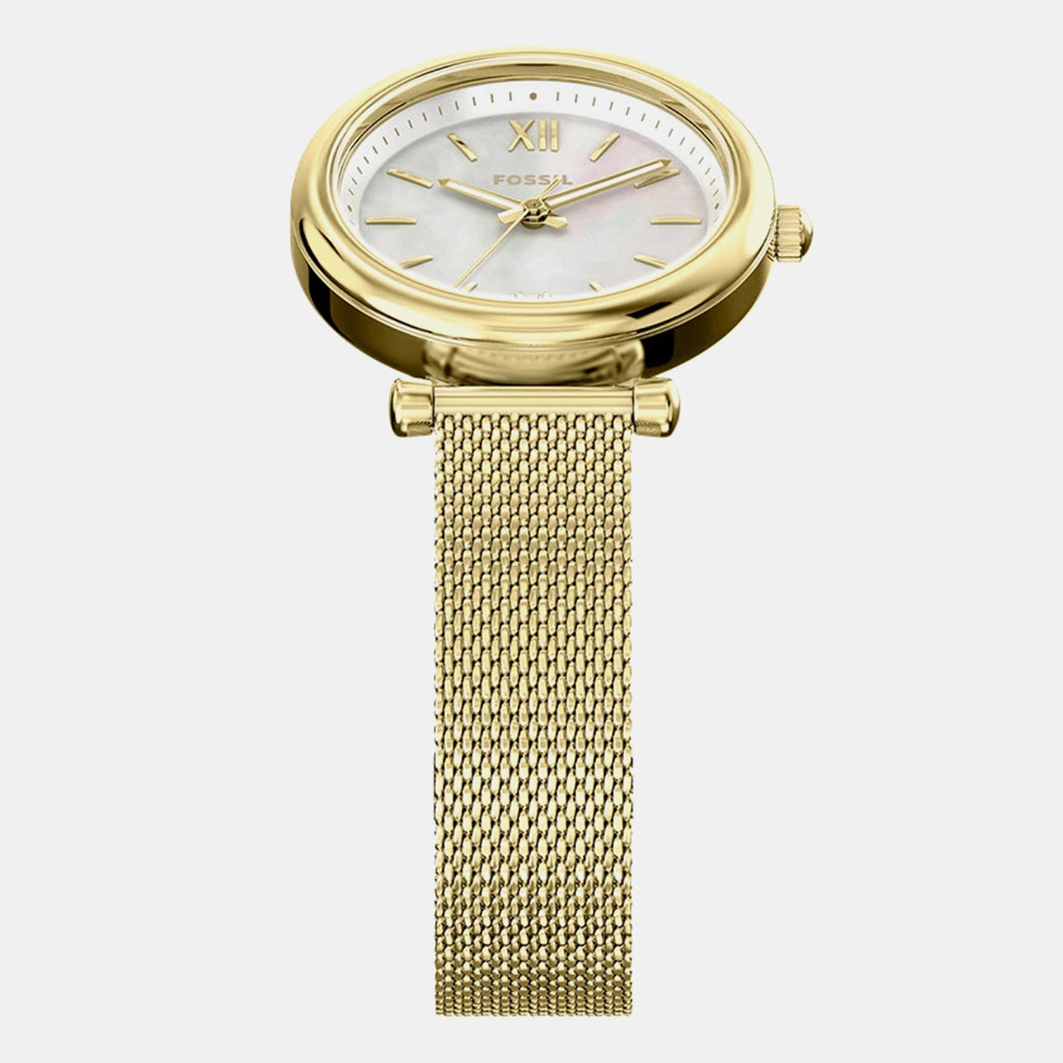 Carlie Women Quartz Mother Of Pearl Dial Analog Mesh Watch ES5462