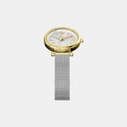 Carlie Women Quartz Mother Of Pearl Dial Analog Mesh Watch ES5463