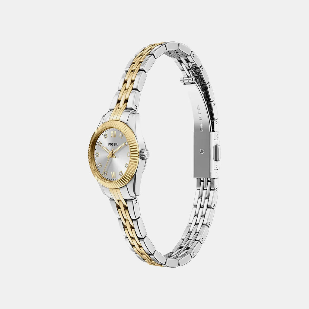 Scarlette Women Quartz Silver Dial Analog Stainless Steel Watch ES5473