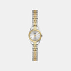 Scarlette Women Quartz Silver Dial Analog Stainless Steel Watch ES5473