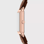 Raquel Women Quartz Brown Dial Analog Leather Watch ES5503