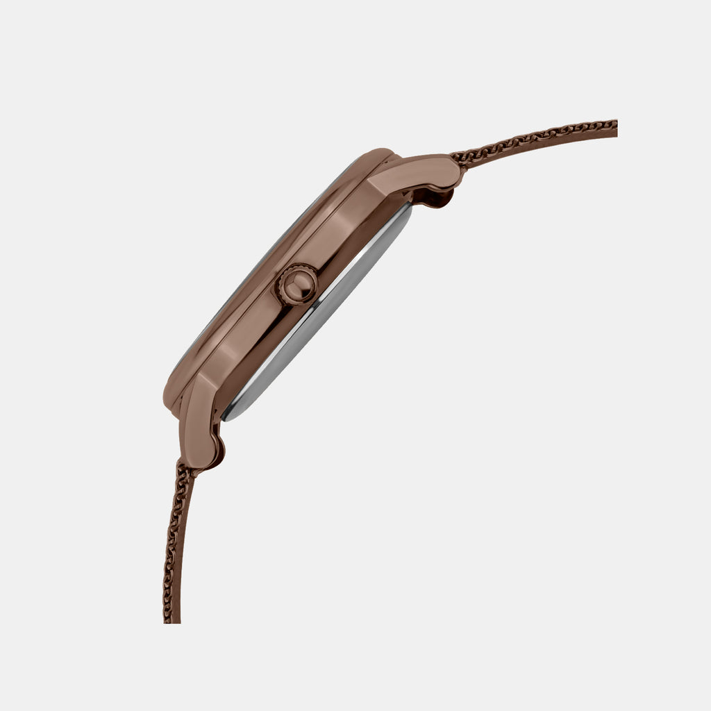 Men Quartz Brown Dial Analog Mesh Watch G1052E-B6606