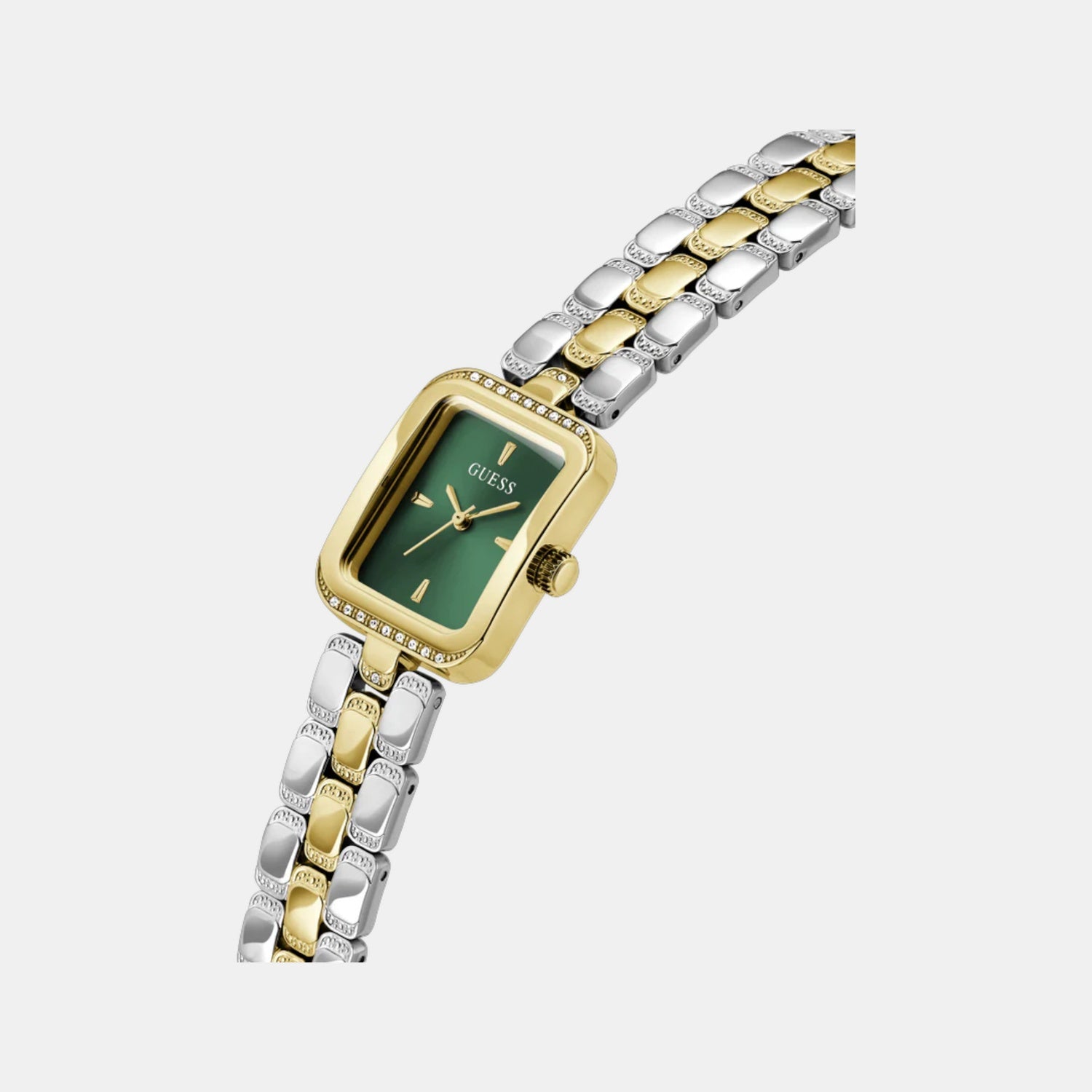 Isla Women Quartz Green Dial Analog Recycled Steel Watch GW0865L6