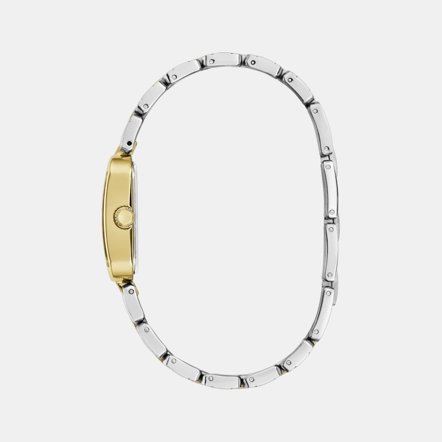 Isla Women Quartz Green Dial Analog Recycled Steel Watch GW0865L6