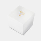 Guess Trend Women Quartz Champagne Dial Multi-Function Stainless Steel Watch GW0878L2