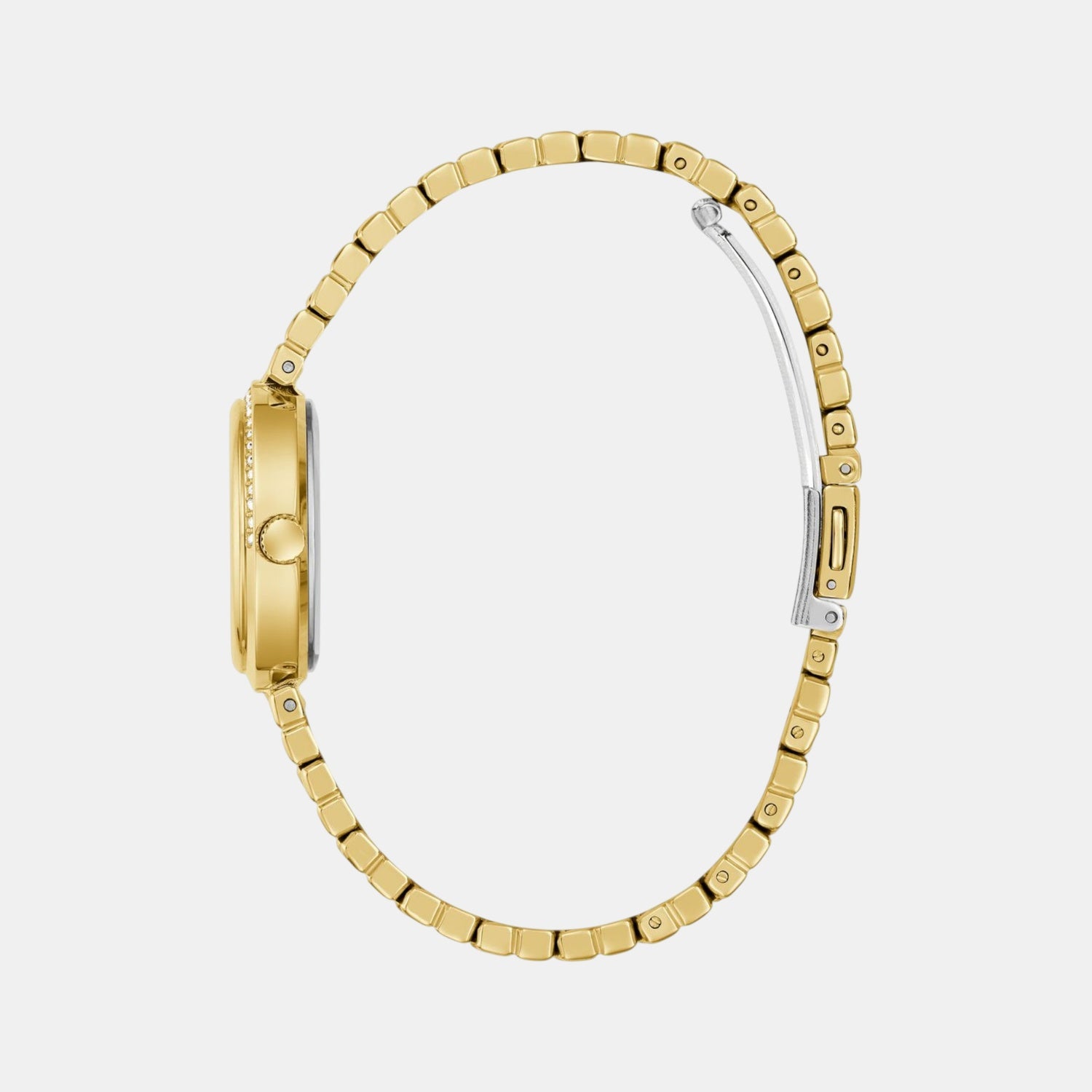 Clara Women Quartz Blue Dial Analog Recycled Steel Watch GW0930L4