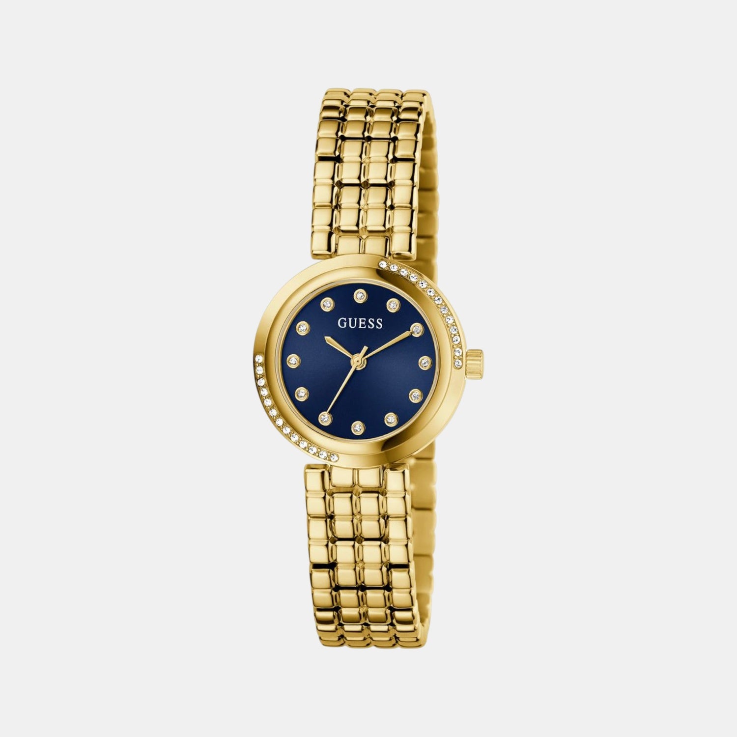 Clara Women Quartz Blue Dial Analog Recycled Steel Watch GW0930L4