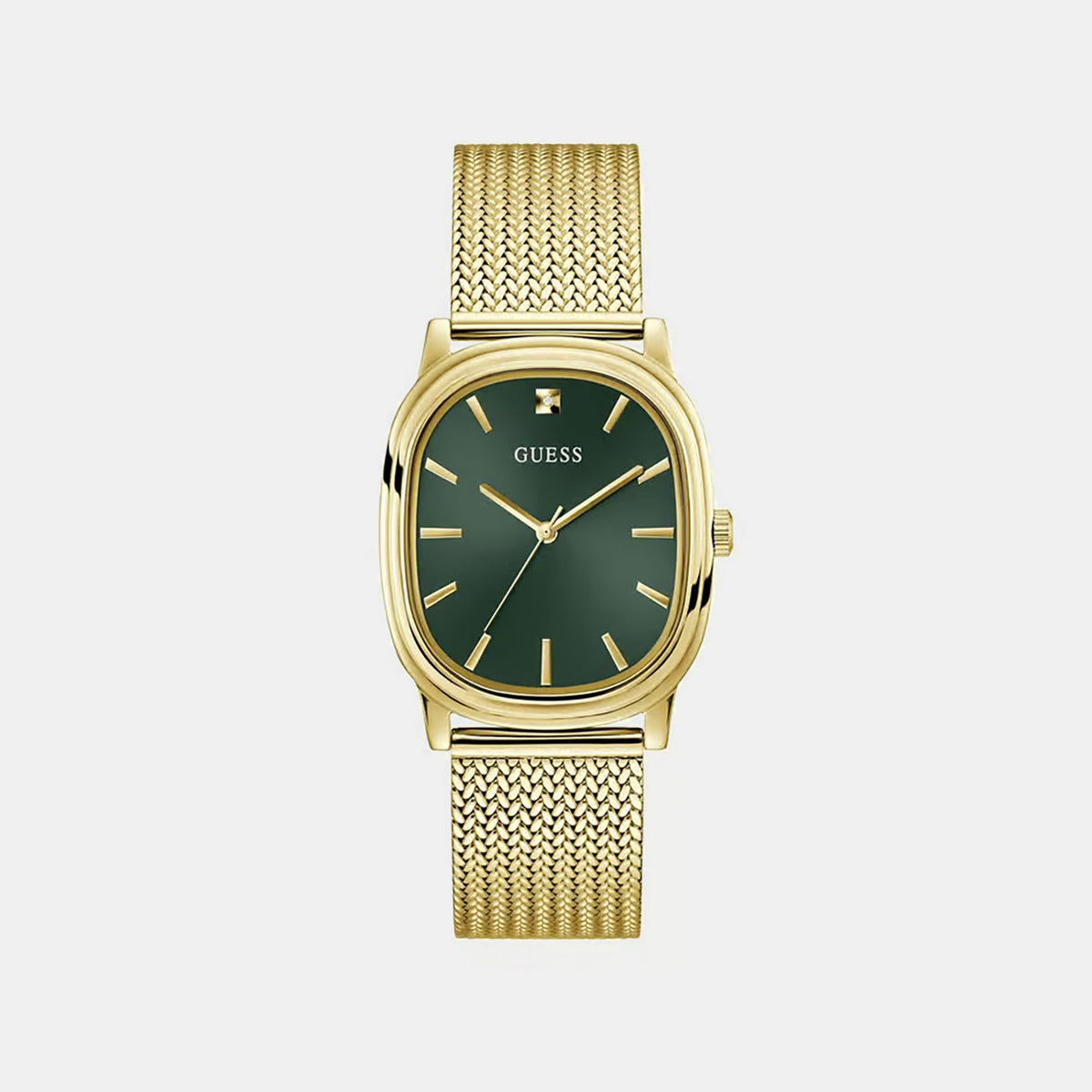Women Quartz Green Dial Analog Mesh Watch GW1124G2