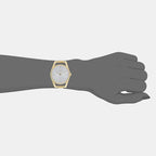 Calvin Klein Stainless Steel Silver watch