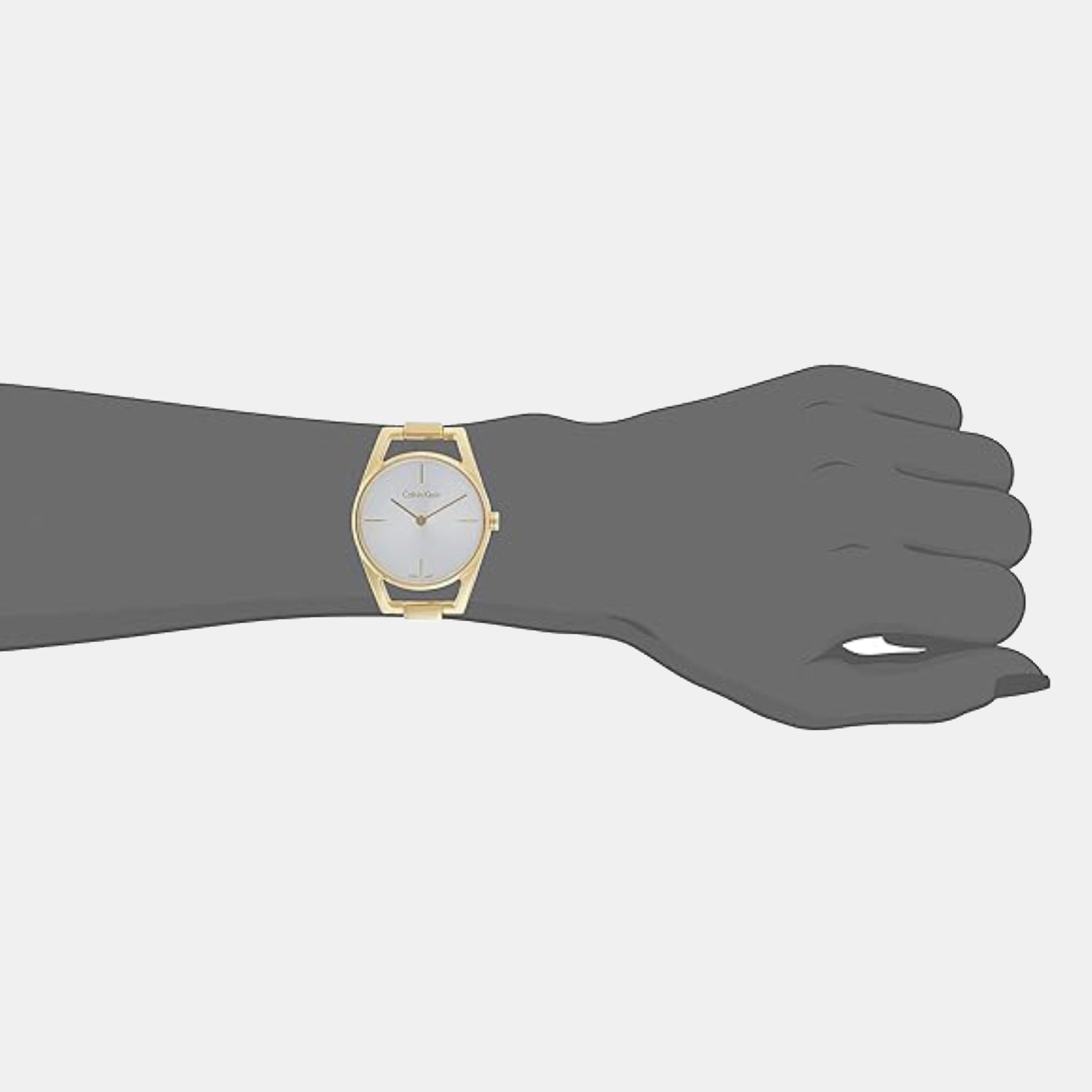 Calvin Klein Stainless Steel Silver watch