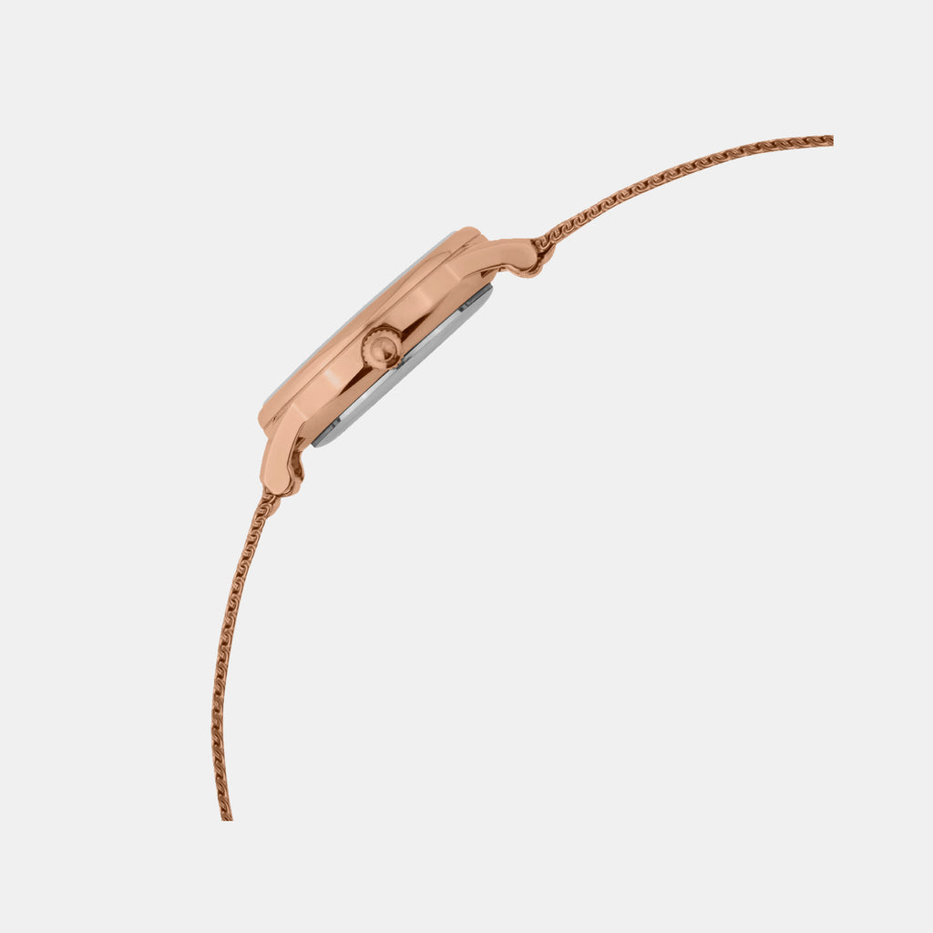 Women Quartz Brown Dial Analog Mesh Watch L1052E-B6606