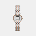 Petite Darci Women Quartz Silver Dial Analog Stainless Steel Watch MK3298