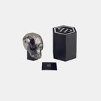 Women Quartz Black Dial Analog Stainless Steel Watch PWNFA0125