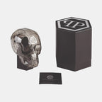 Women Snake Quartz Silver Dial Analog Stainless Steel Watch PWZAA0925