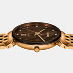 Florence Diamonds Men Quartz Brown Dial Analog Stainless Steel Watch R48916903