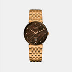 Florence Diamonds Men Quartz Brown Dial Analog Stainless Steel Watch R48916903