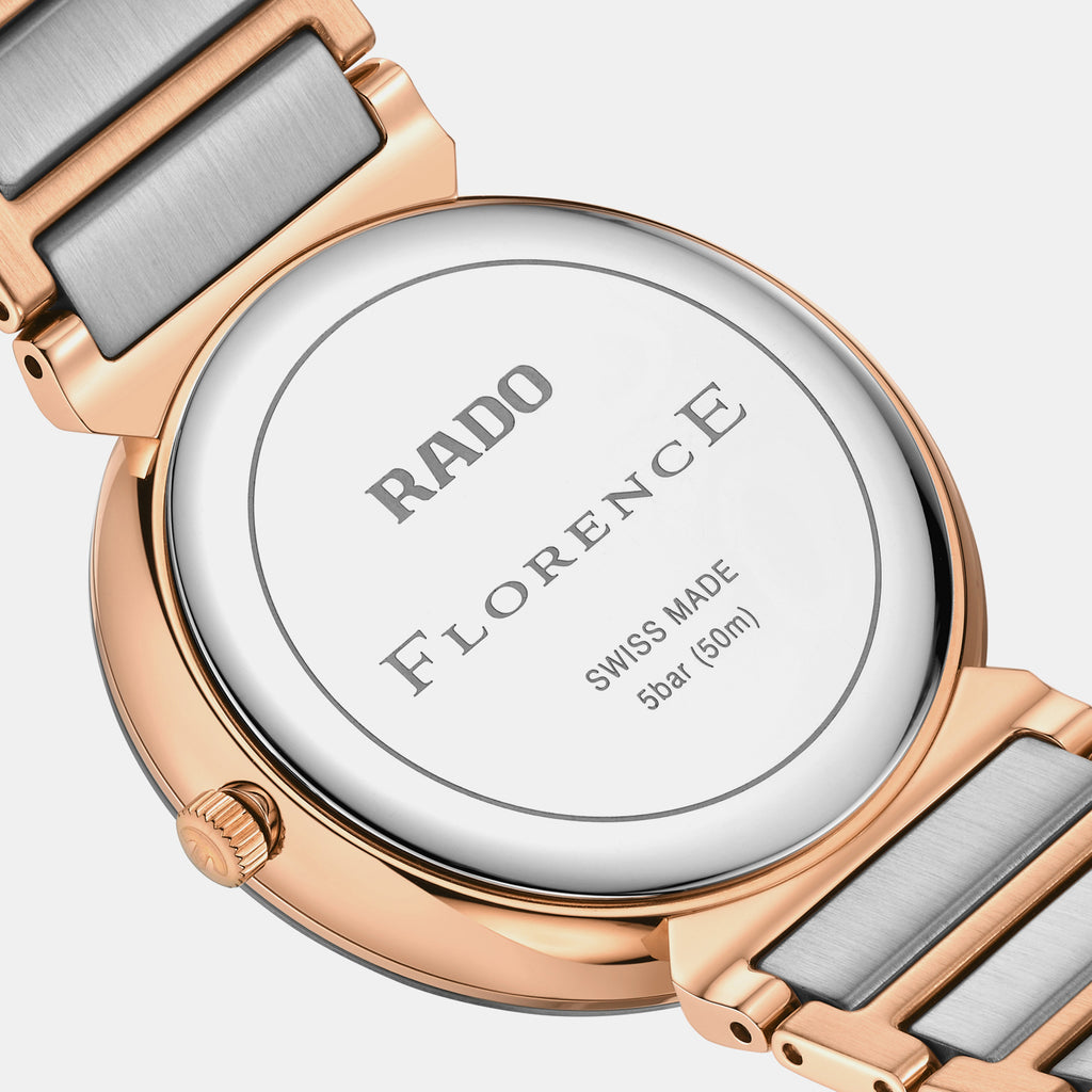 Florence Unisex Quartz Brown Dial Analog Stainless Steel Watch R48918713