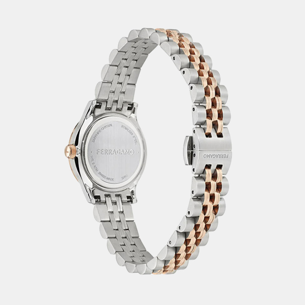 Women Quartz Brown Dial Analog Stainless Steel Watch SFAC00324