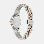 Women Quartz Brown Dial Analog Stainless Steel Watch SFAC00324