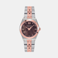 Women Quartz Brown Dial Analog Stainless Steel Watch SFKJ01224