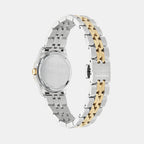 Women Quartz Brown Dial Analog Stainless Steel Watch SFKJ01324