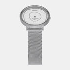 Skagen Mesh Silver watch