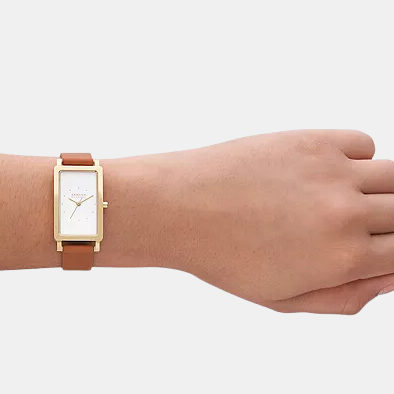 Skagen 22 mm Rectangular Quartz watch