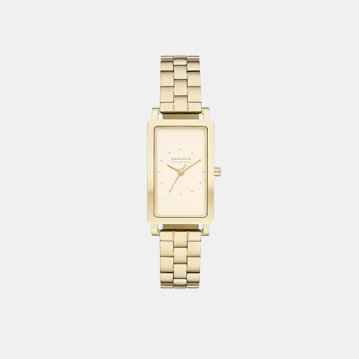 Skagen Round Gold Analog watch