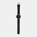 Skagen Leather Gold watch