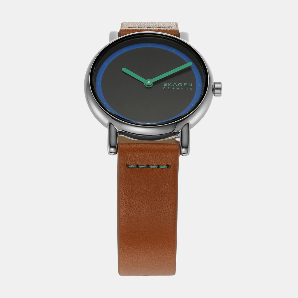 Skagen Stainless Steel Round watch