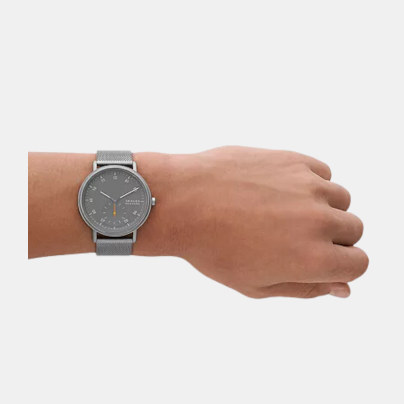 Skagen Stainless Steel Grey watch