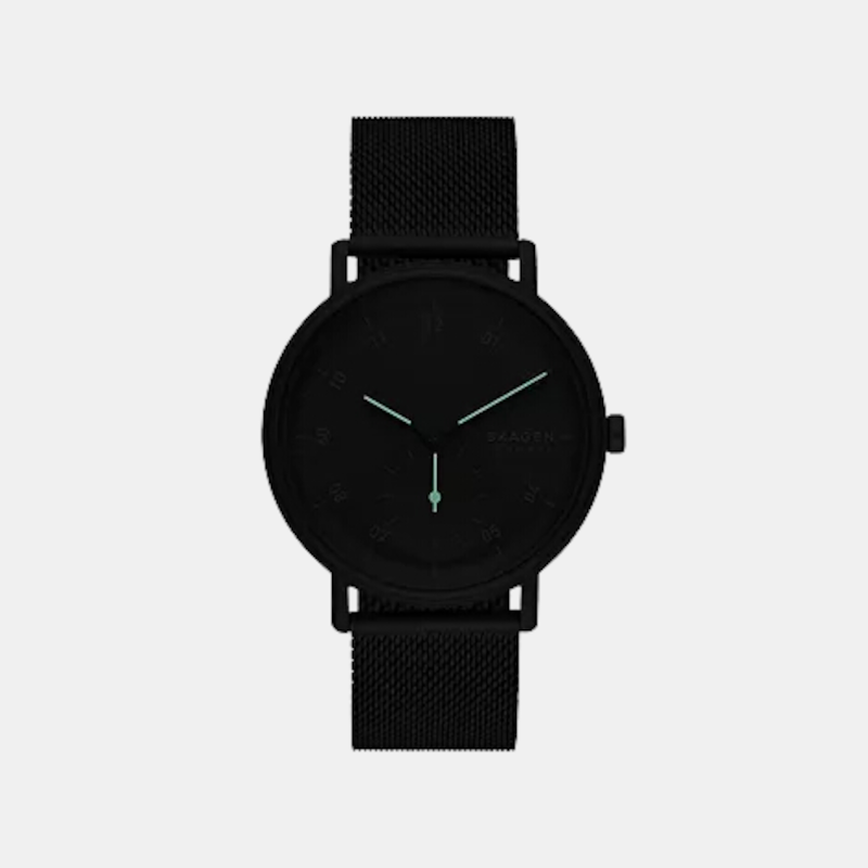 Skagen Stainless Steel Round watch