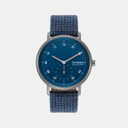 Skagen Round Silver Analog watch