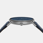 Skagen Men Round Silver watch