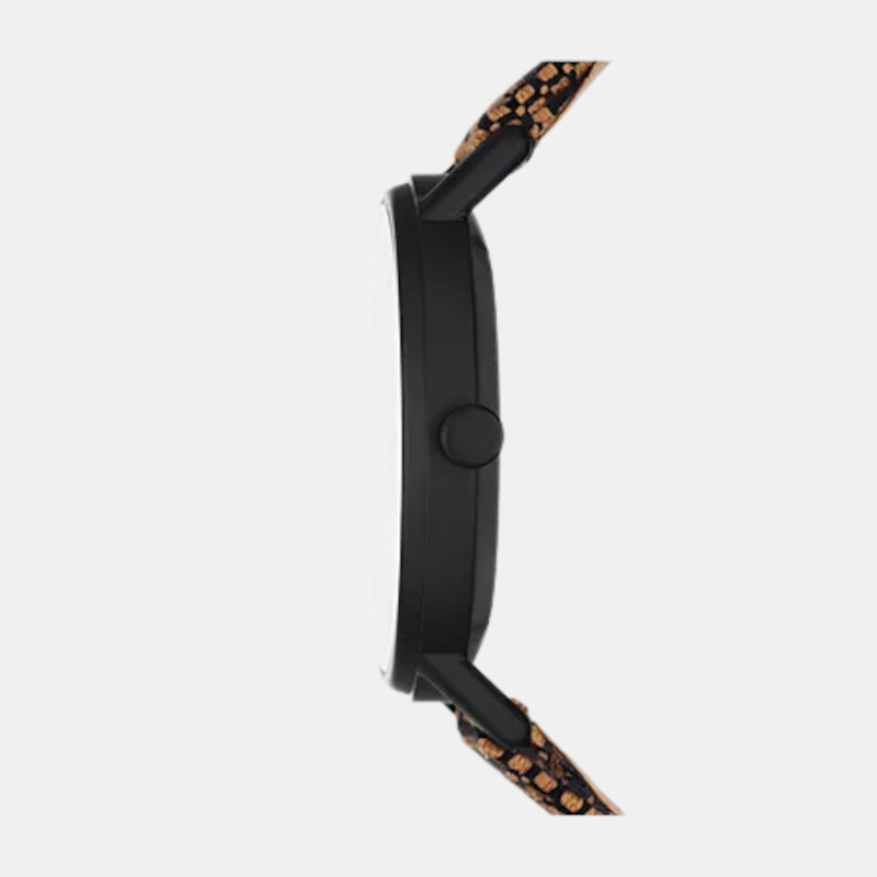 Skagen 44 mm Round Quartz watch