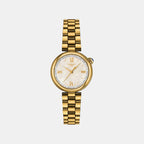 Desir Women Quartz Mother Of Pearl Dial Analog Stainless Steel Watch T1520103311800