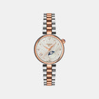 Desir Women Quartz Silver Dial Analog Stainless Steel Watch T1522232203600