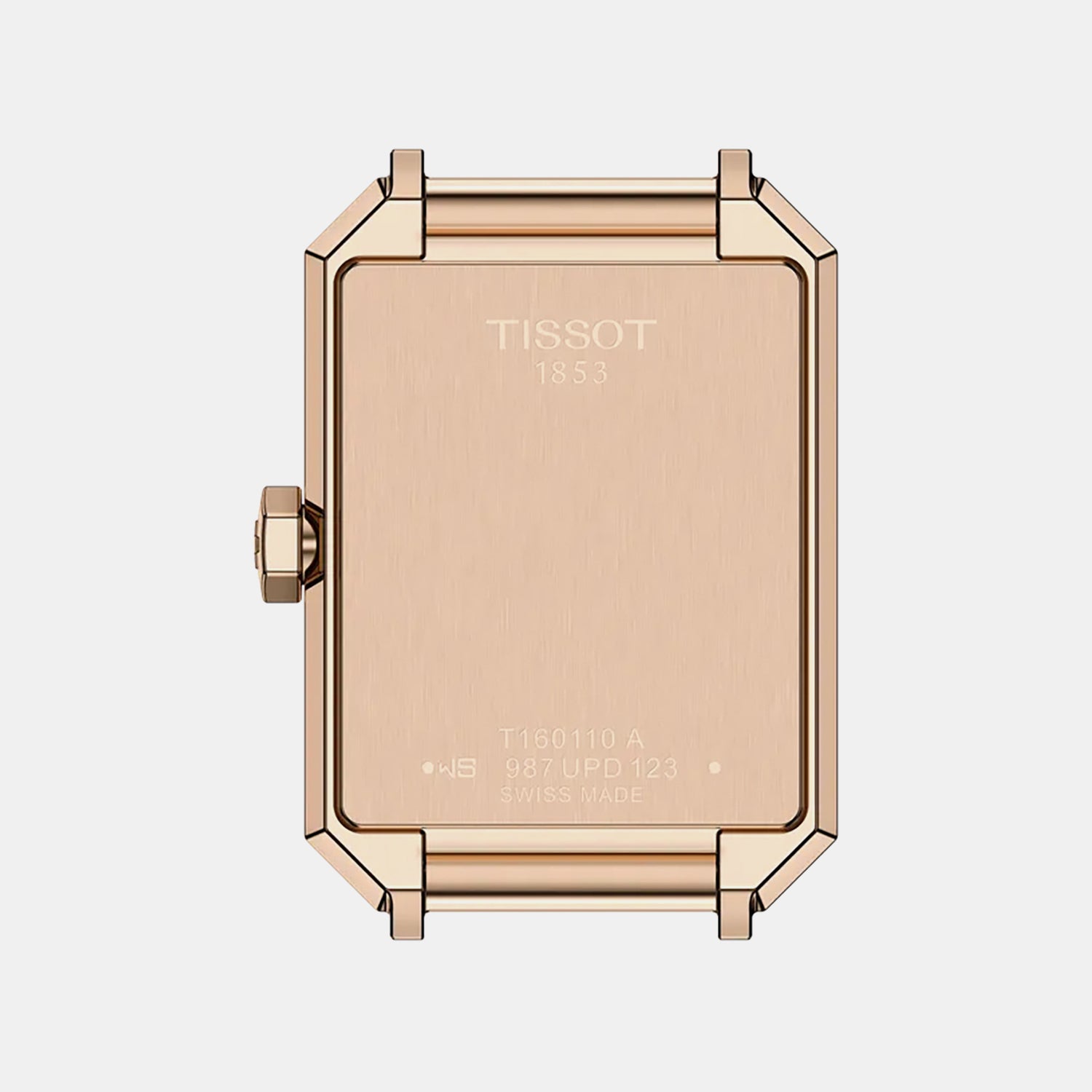 Classic Contemporary Women Quartz Silver Dial Analog Leather Watch T1601103603300